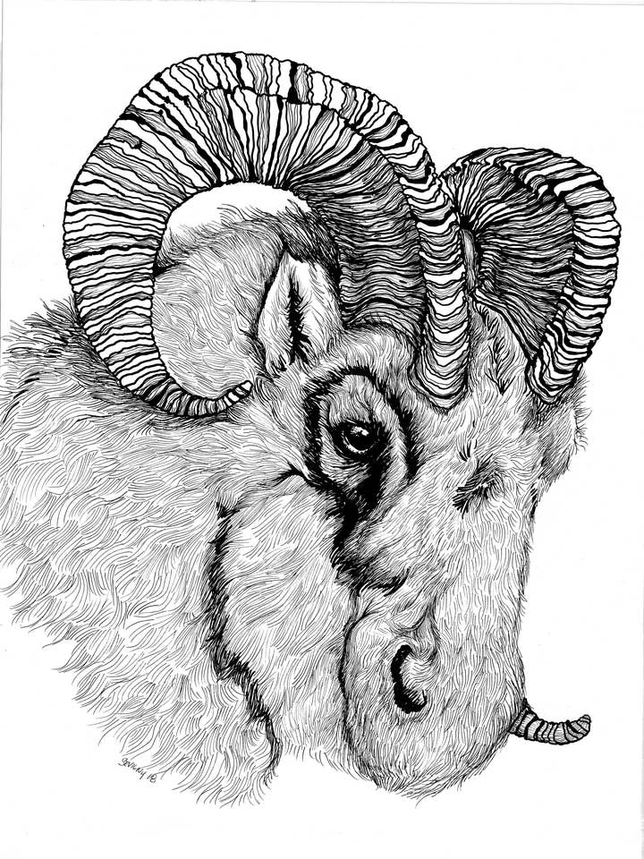 Impressão de Arte Giclée B&W Dahl por Katie Sevigny por atacado de Sevigny Studio