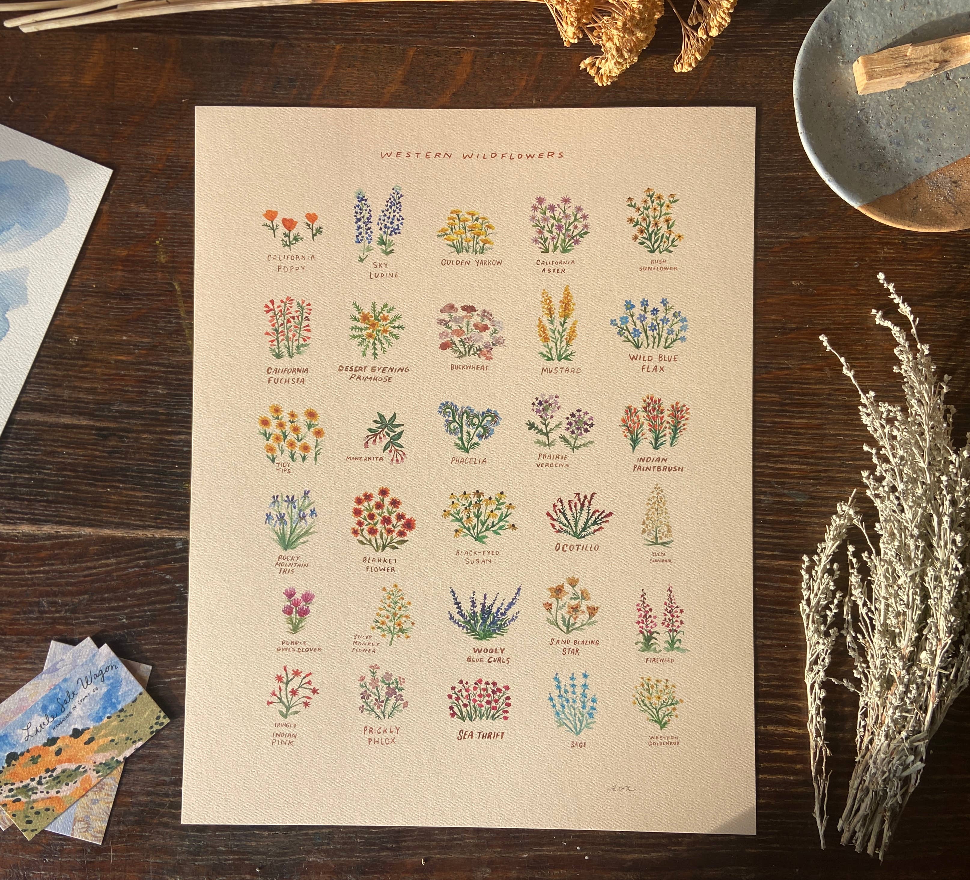 Little Salt Wagon - Wholesale Art Print - Western Wildflowers With Names Art Painting Decor2