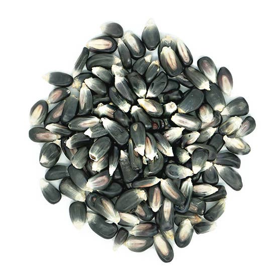 Mexican Blue Corn Bulk Bag for wholesale by San Jose Produce & Imports LLc