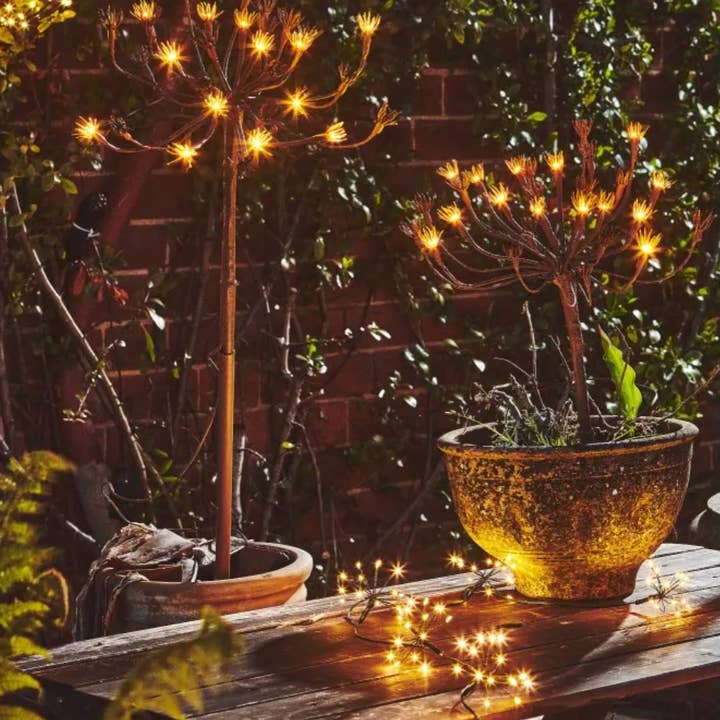 Lumina Of London AU - Wholesale Outdoor/Lawn Light - Solar Wild Fennel0