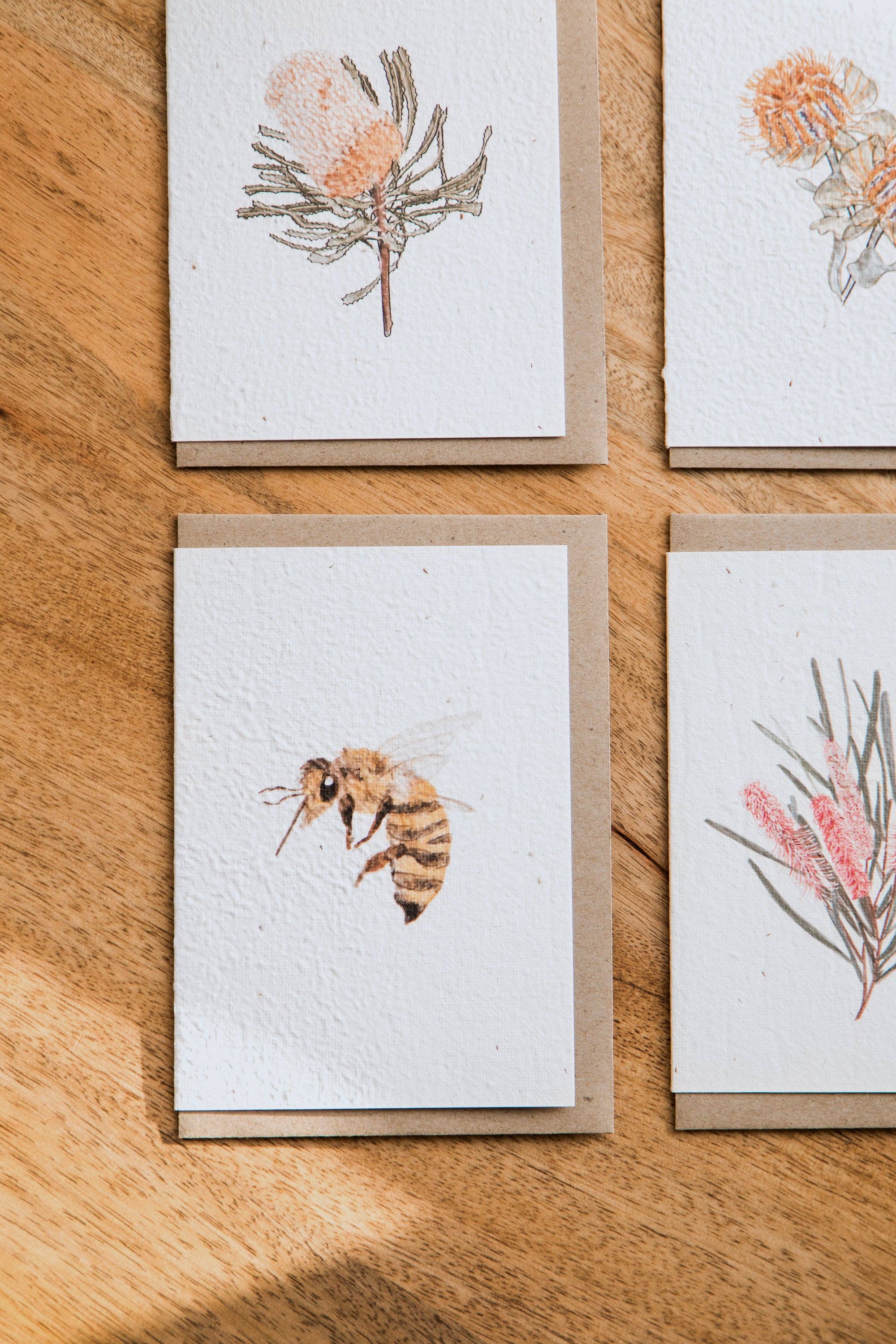 treasureinventory - Venta al por mayor Tarjetas de felicitación - Botánicos Australianos // Tarjetas Plantables // Paquete de 27 Tarjetas3