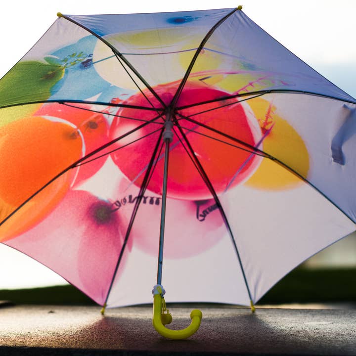 Bird&Fish, Co. - Wholesale Umbrella - Kids - Kids Balloon Umbrella - (FINAL INVENTORY!)2