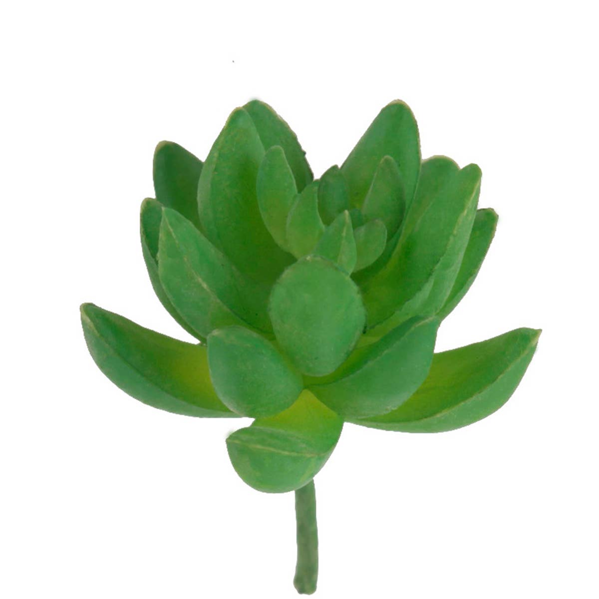 Flora Bunda Inc - Vendita all'ingrosso Fiori finti - Mini pianta grassa artificiale2