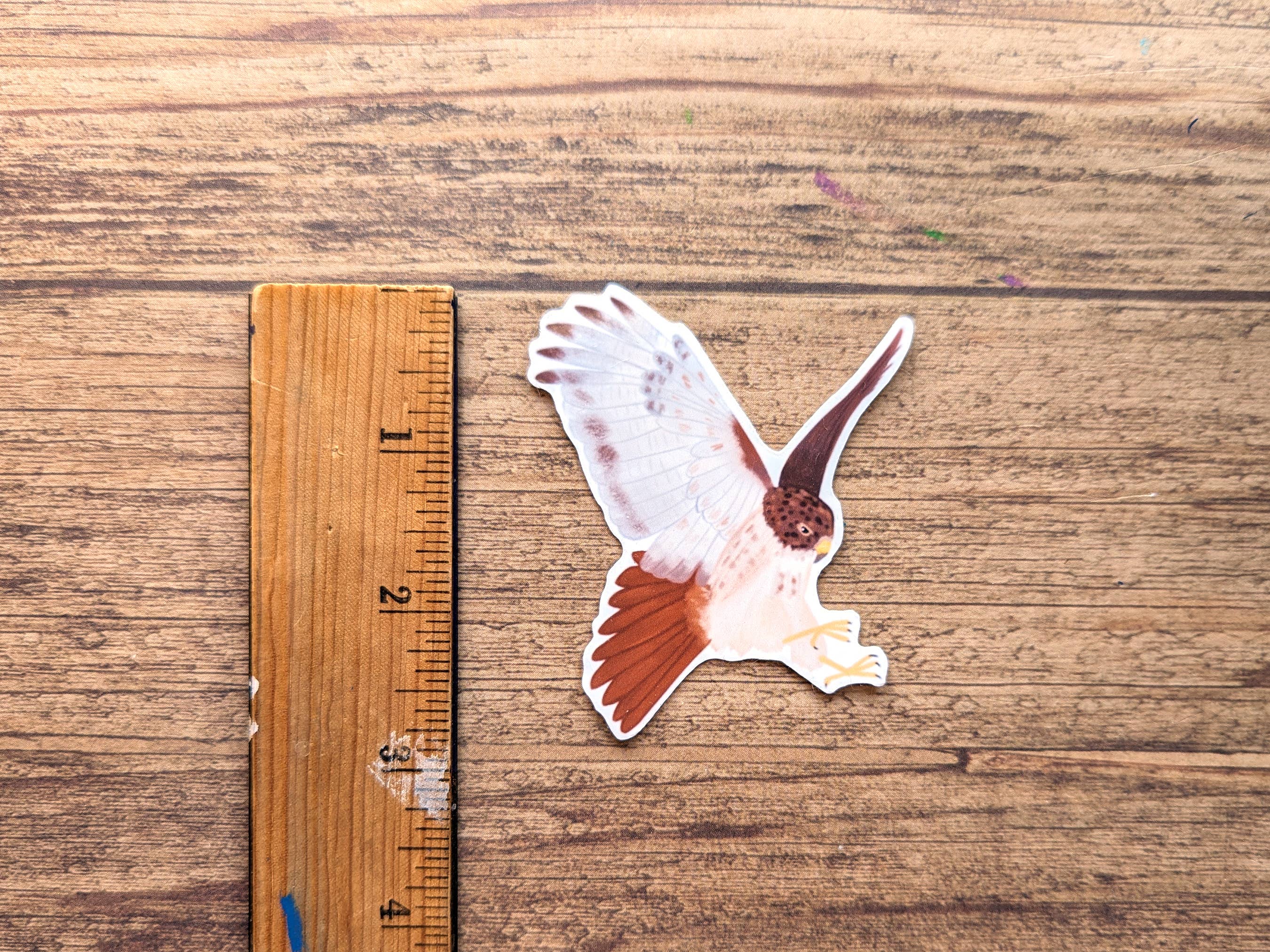 Proper Wolf - Wholesale Sticker - Red-Tailed Hawk Vinyl Sticker Decal1