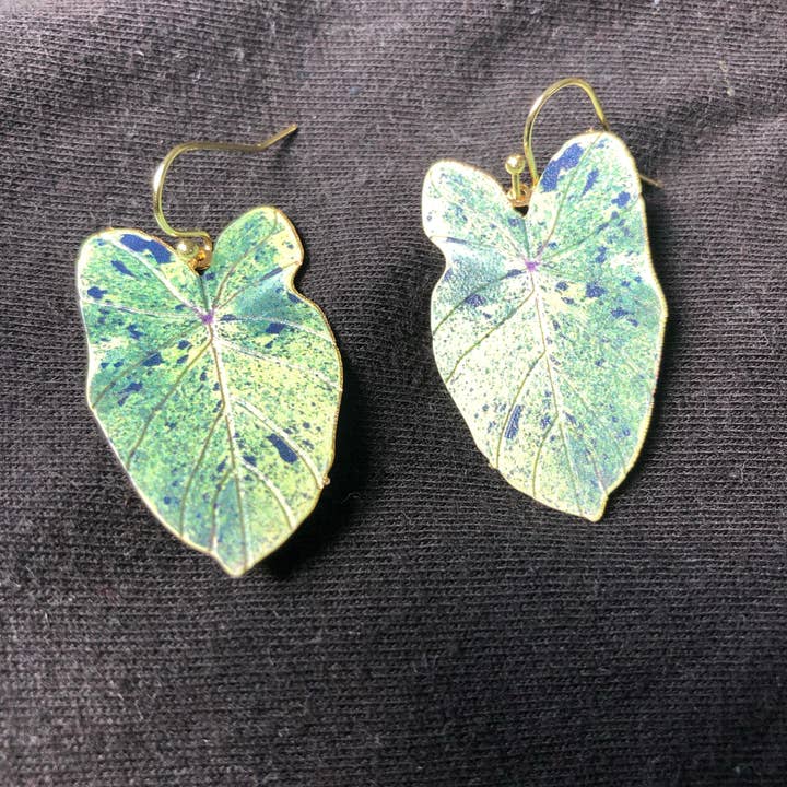 Plntbaby Jewelry - Wholesale Dangle Earrings - Colocasia Mojito