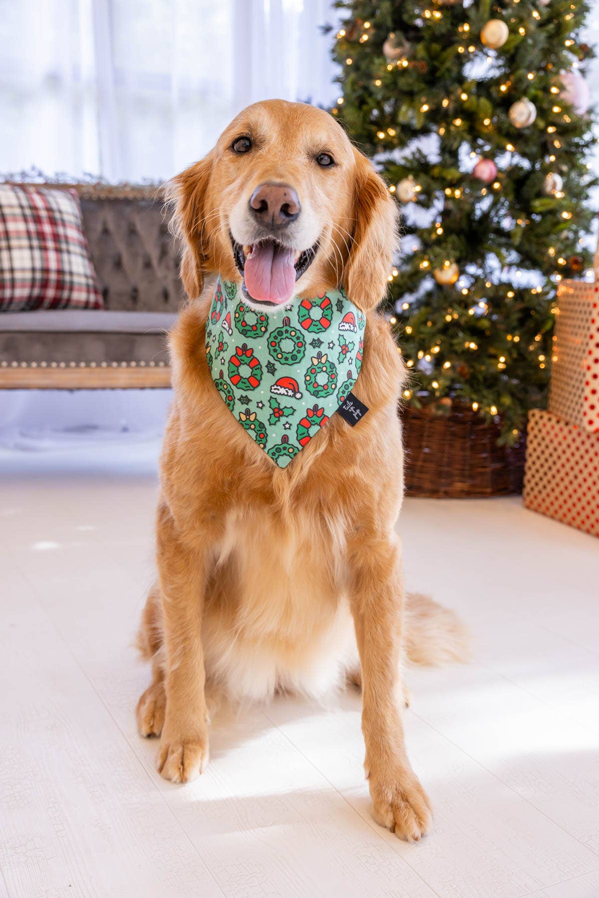 Texas Iconic Images Over-the-Collar Reversible Dog Bandana ~ Four