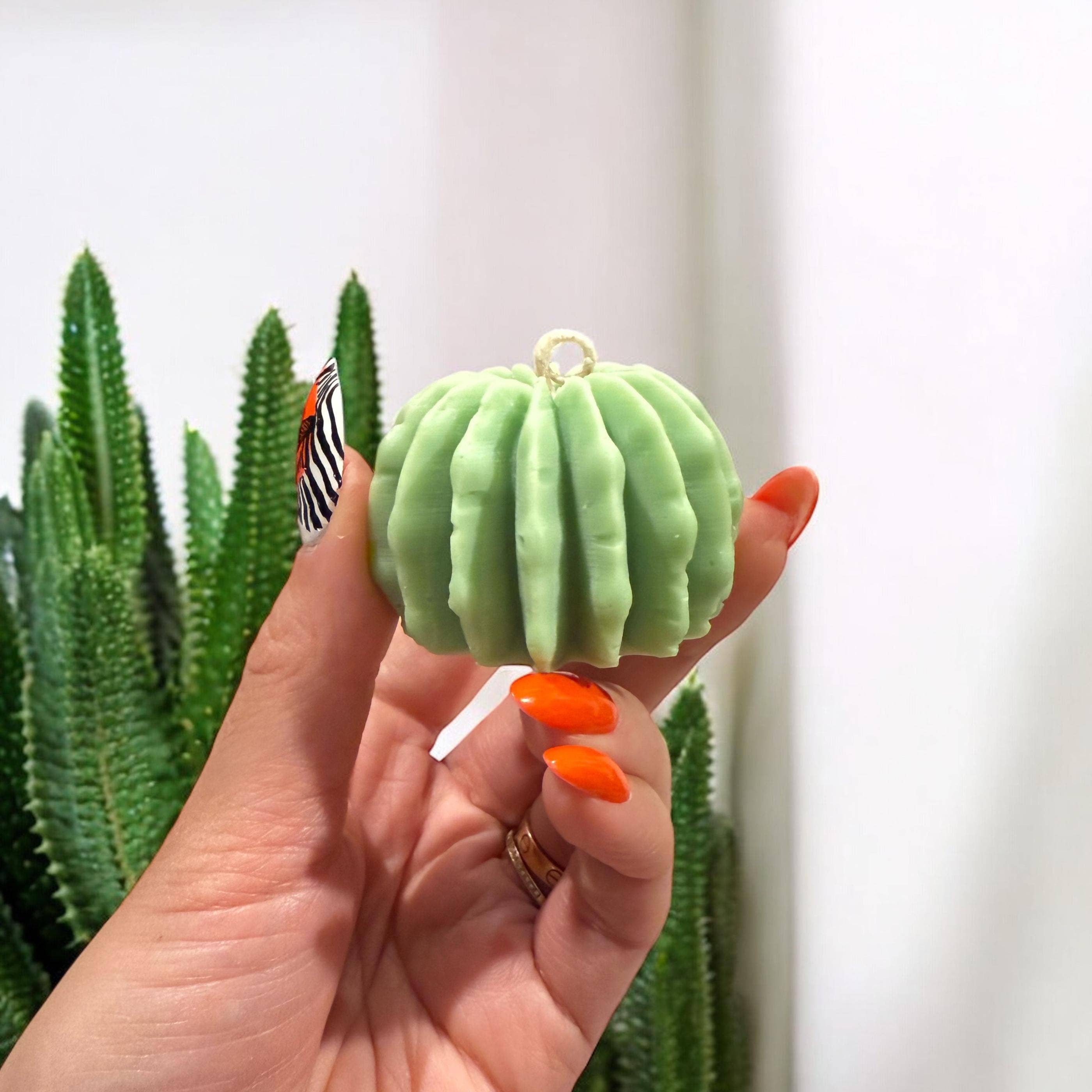 Karly’s Candles – Großhandel Geschenkkerze – Kaktus & Sukkulenten Sojakerze - Geschenk für Pflanzenliebhaber7