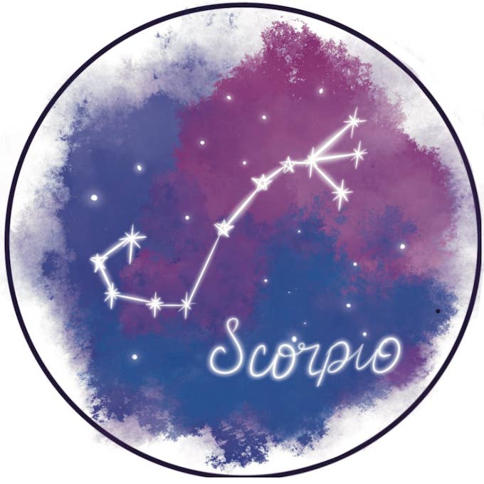 Forever Blue Studio - Wholesale Sticker - Scorpio Zodiac