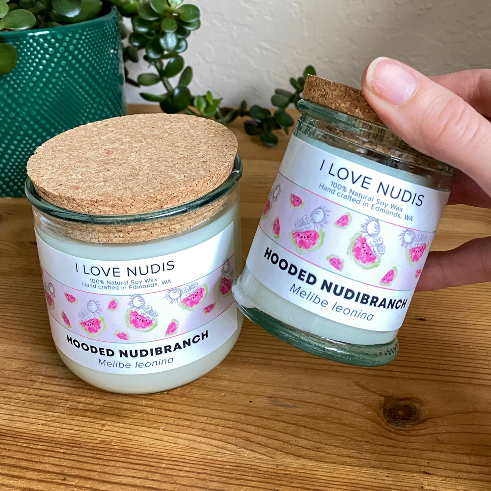 I LOVE NUDIS - Wholesale Jar/Filled Candle - Watermelon Candle inspired by the Hooded Nudibranch in Recycled Glass2