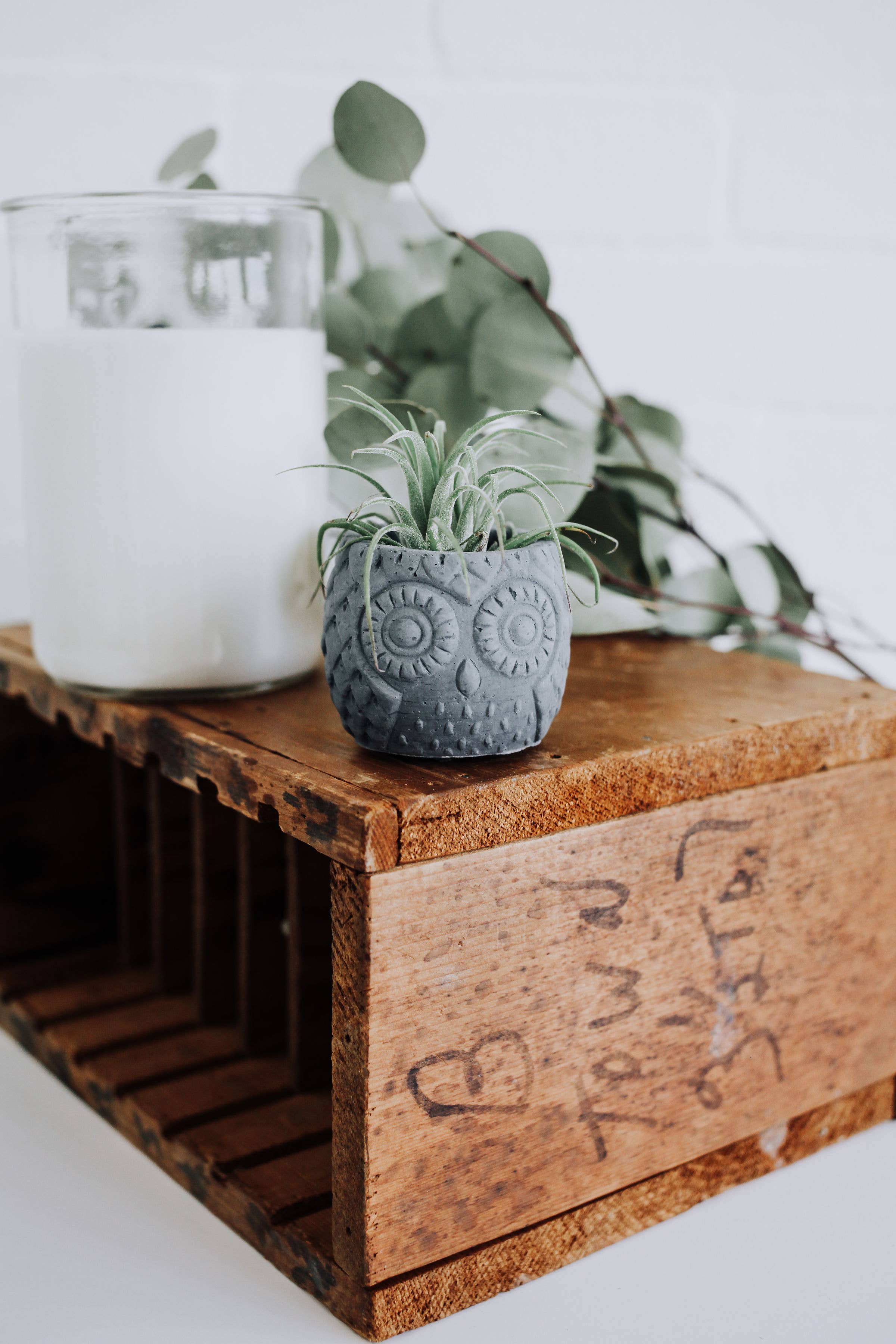 poured + crafted - Wholesale Plant Pot - Concrete Owl Planter4
