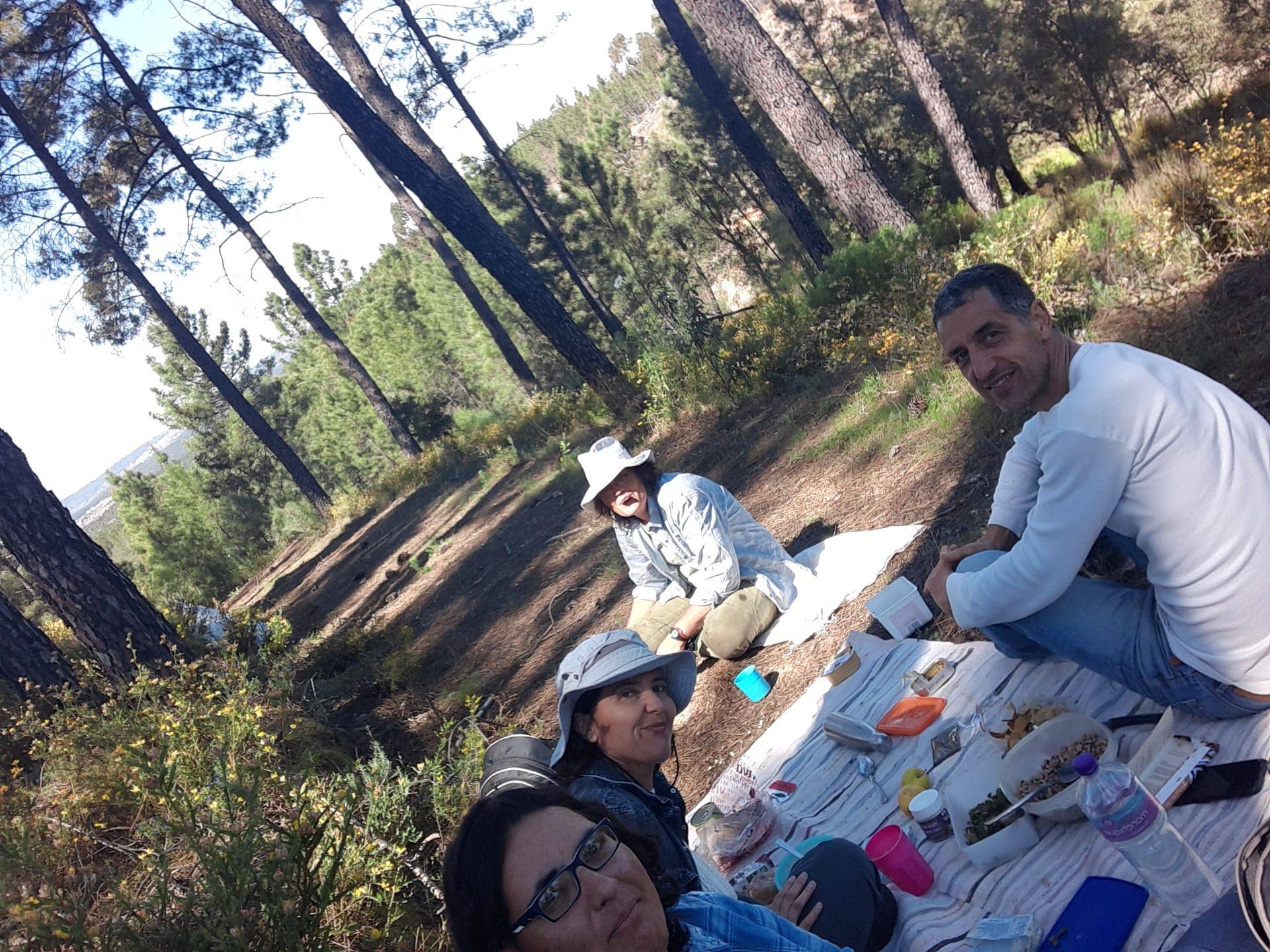 Ervas da Zoé – Großhandel Gesundheits-/Entgiftungstee – 20. Bio-Kräutertee „Carqueja-Blüte“ 40 g6