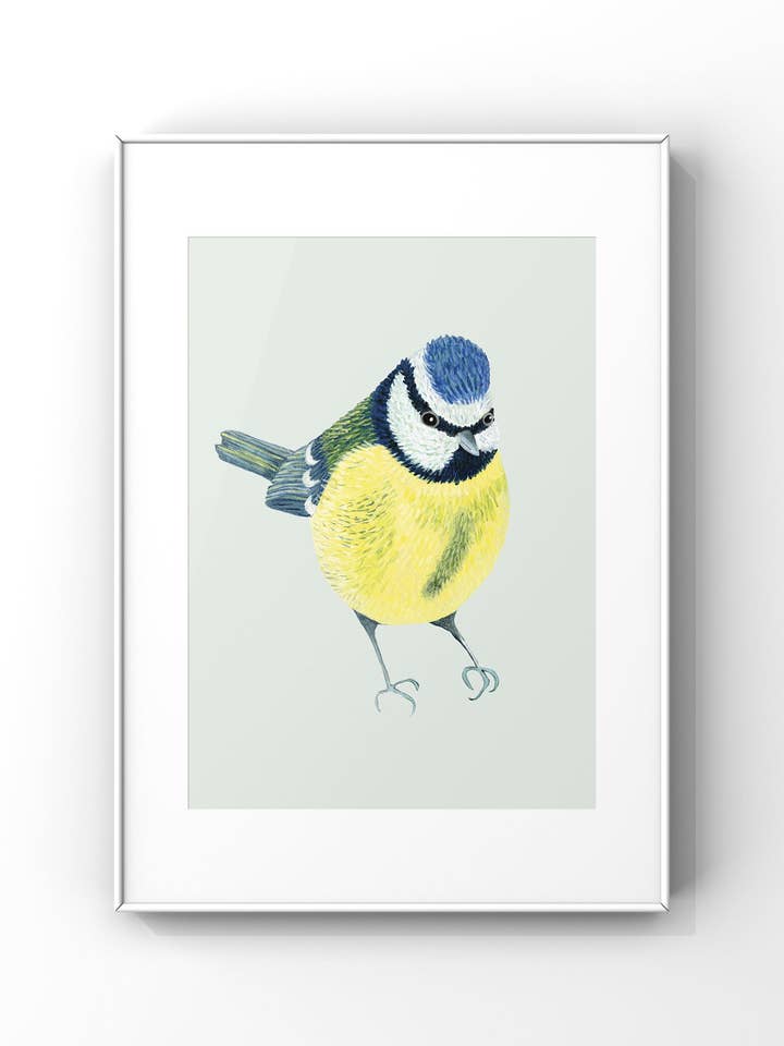 Blue Tit Print by Susie Hamilton for wholesale by Susie Hamilton Art