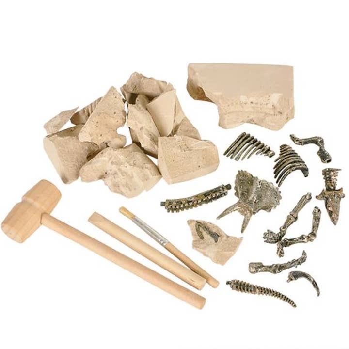 La Luna Bella - Toys - Venta al por mayor Juguete tradicional - Niños - JUGUETES PARA NIÑOS DINOSAUR DELUXE FOSSIL EXCAVATION KIT LLB2