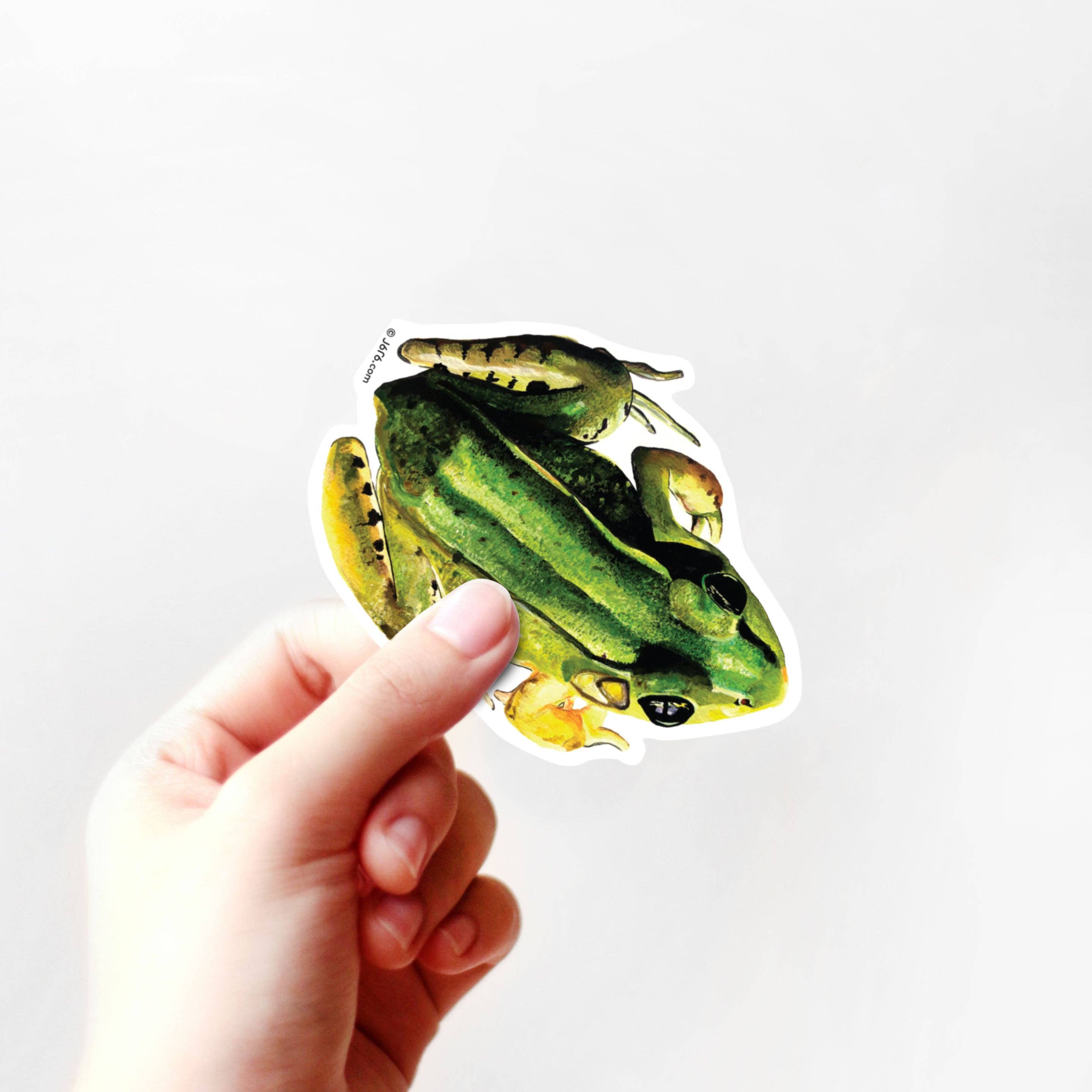 J6R6 - Wholesale Sticker - Frog Vinyl Sticker1