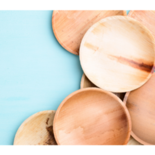 MicRic - Wholesale Disposable Plate - Palm leaf  6 Inch Round Plate (600 Pack) Buy By Box2