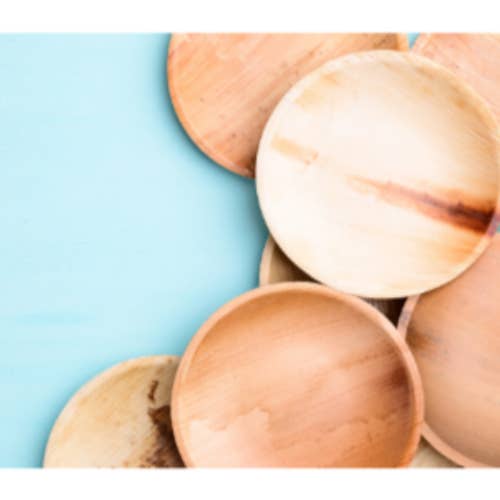 MicRic - Wholesale Disposable Plate - Palm leaf 6 Inch Round Plate (600 Pack) Buy By Box2