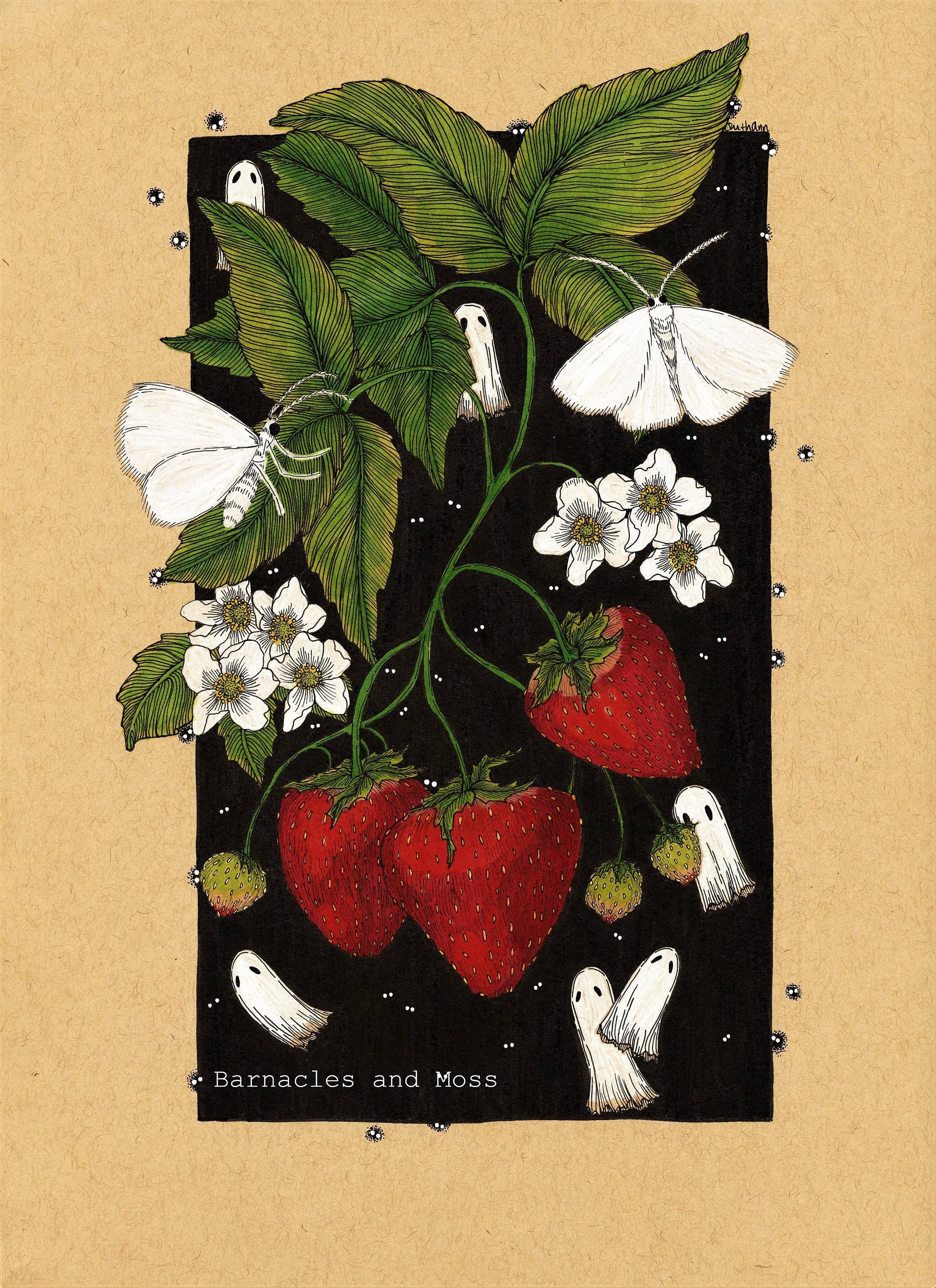 Barnacles and Moss - Wholesale Art Print - Strawberries and Soot Sprites Fine Art Print3