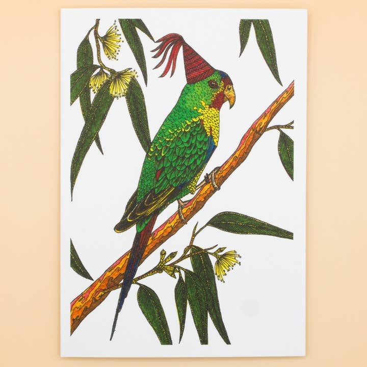 Sunshine Sea Art - Wholesale Birthday Card - Swift Parrot Greeting Card Australia Birthday Bird Eco Card0