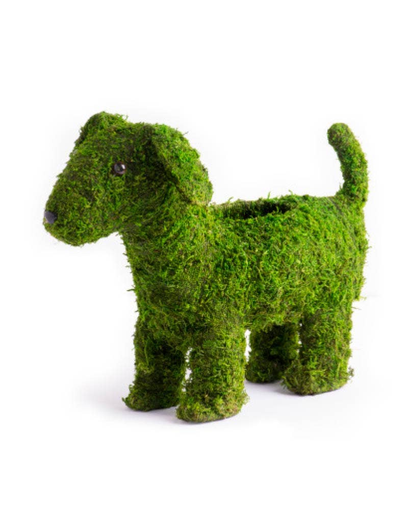 SuperMoss - Wholesale Tafelbladdecoratie - Deco Moss Dieren, puppy, 13in