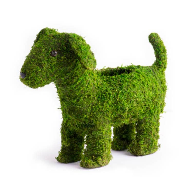 SuperMoss - Wholesale Decorative Tabletop Object - Deco Moss Animals, Puppy, 13in