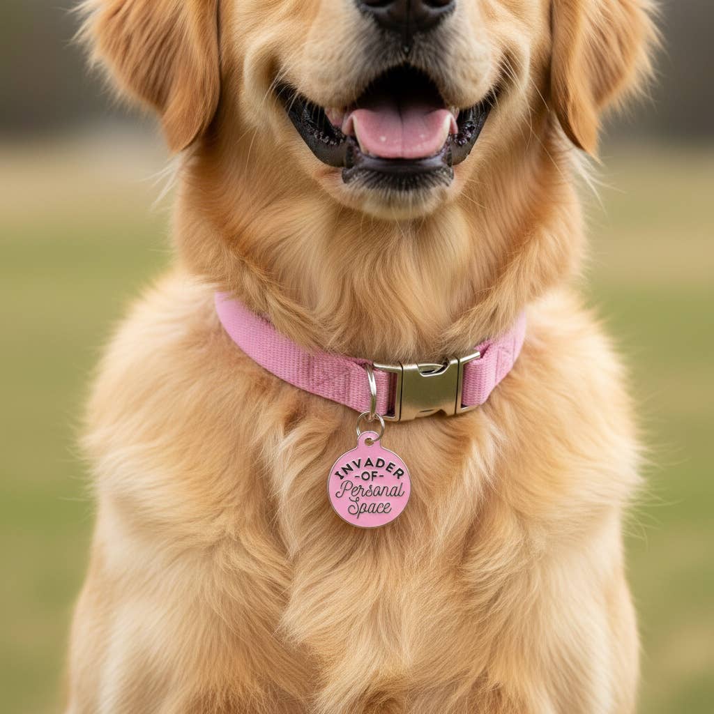 Bad Tags - Wholesale Pet Identification Tag - Dog - Personalized Dog ID Tag w/ QR Code - Invader Personal Space 3