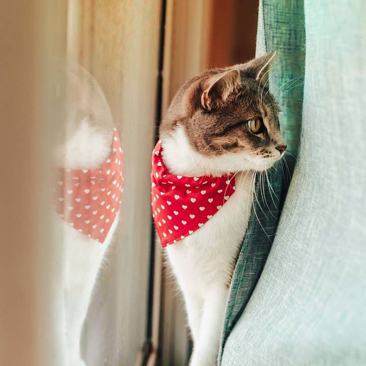 « Love Song » - Bandana en forme de cœur pour chat et petit chien pour la vente par Made By Cleo