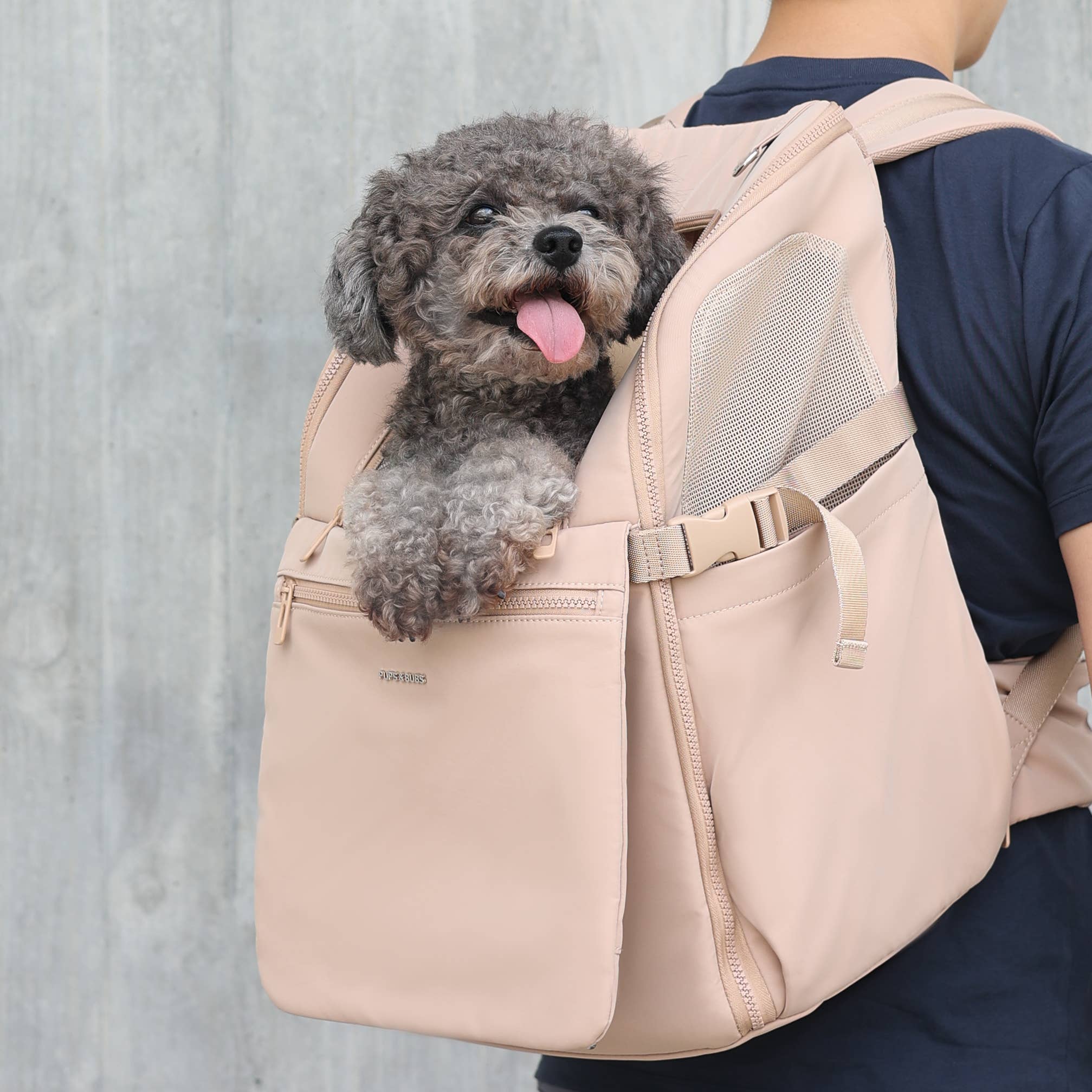 Pups & Bubs - Vente Caisse de transport – chat et chien - Sac à dos porte-animal Traveler pour chien et chat2