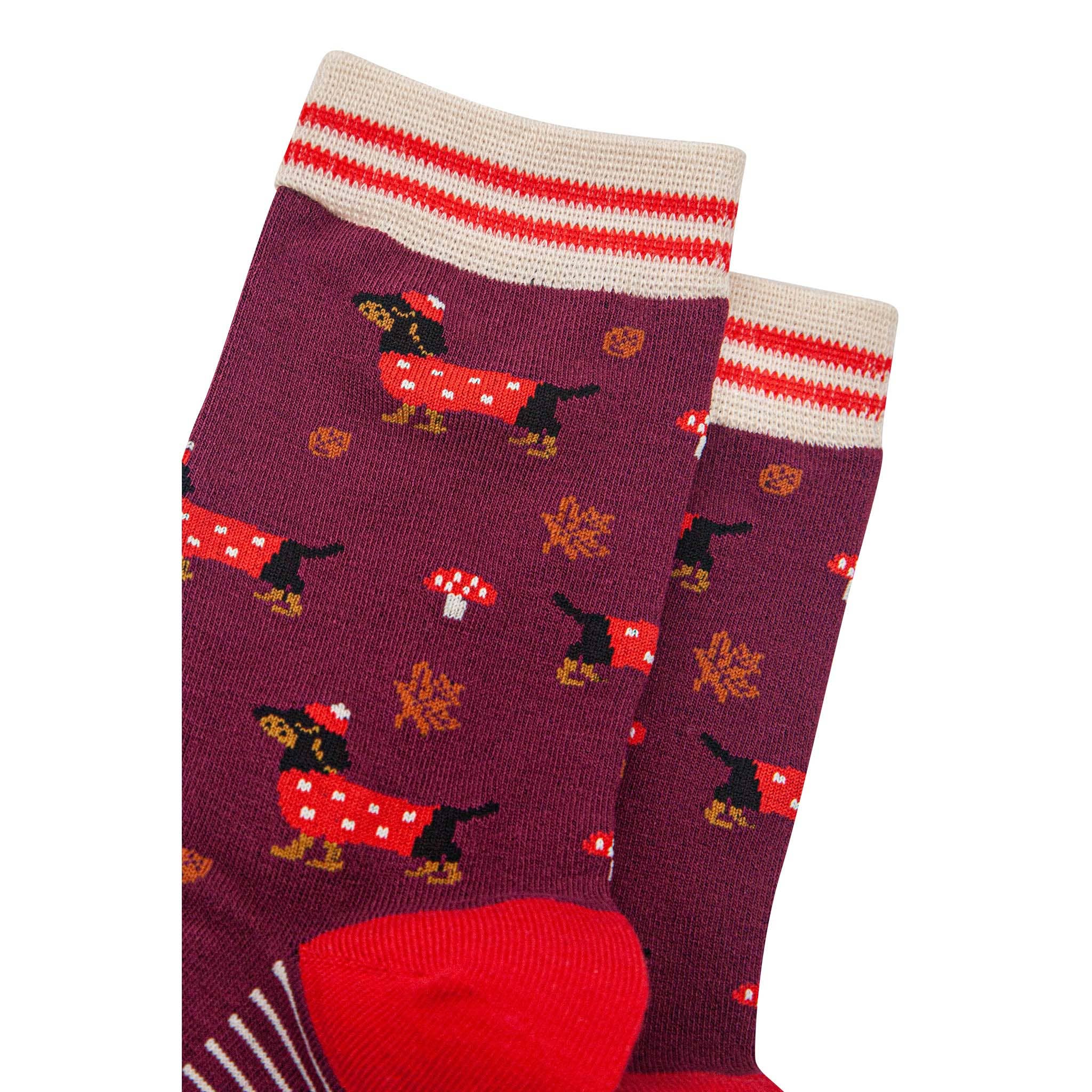Sock Talk - Wholesale Socks - Women's - Women's Bamboo Socks - Berry/Cream, Sausage Dogs Toadstools2