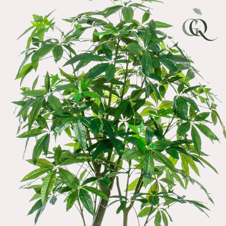 Oasis of Life - Wholesale Artificial Plant - Artificial Plant Pachira Aquatica β Money Tree 180cm β Deceptively Realistic with Shiny Leaves & Double Trunk β Maintenance-Free Artificial Tree for Home & Office2