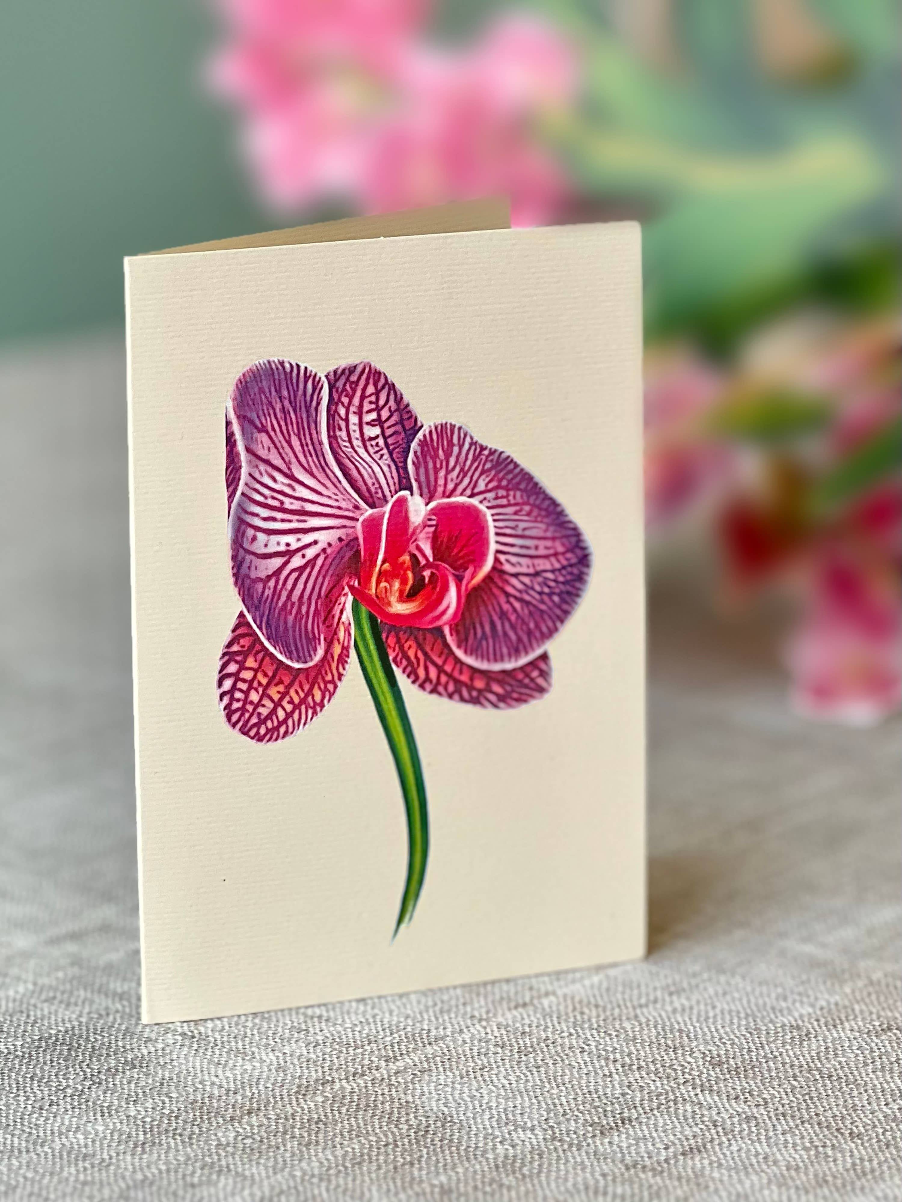 FreshCut Paper LLC - Wholesale Everyday greeting card - Orchid Oasis (8 Pop-up Greeting Cards)8