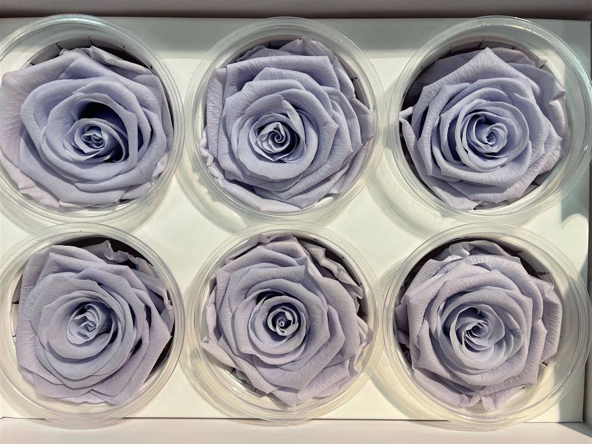 Dutch Flower Studio - Wholesale Artificial Flowers - 🌸 Preserved Roses - 13 colors - Decoration - Flowers - 6 cm7