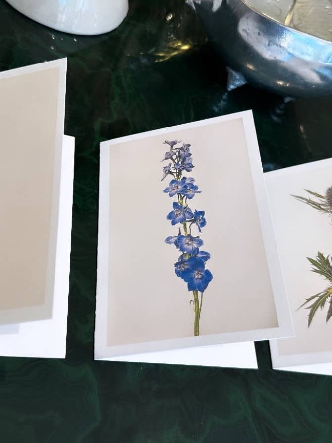 NEW 2023 VINTAGE FLOWERS SET for wholesale by Talfoto Studio