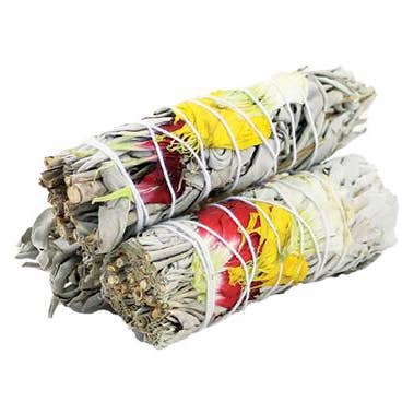 Harmony Salbei 10cm für den Großhandel von Green Tree