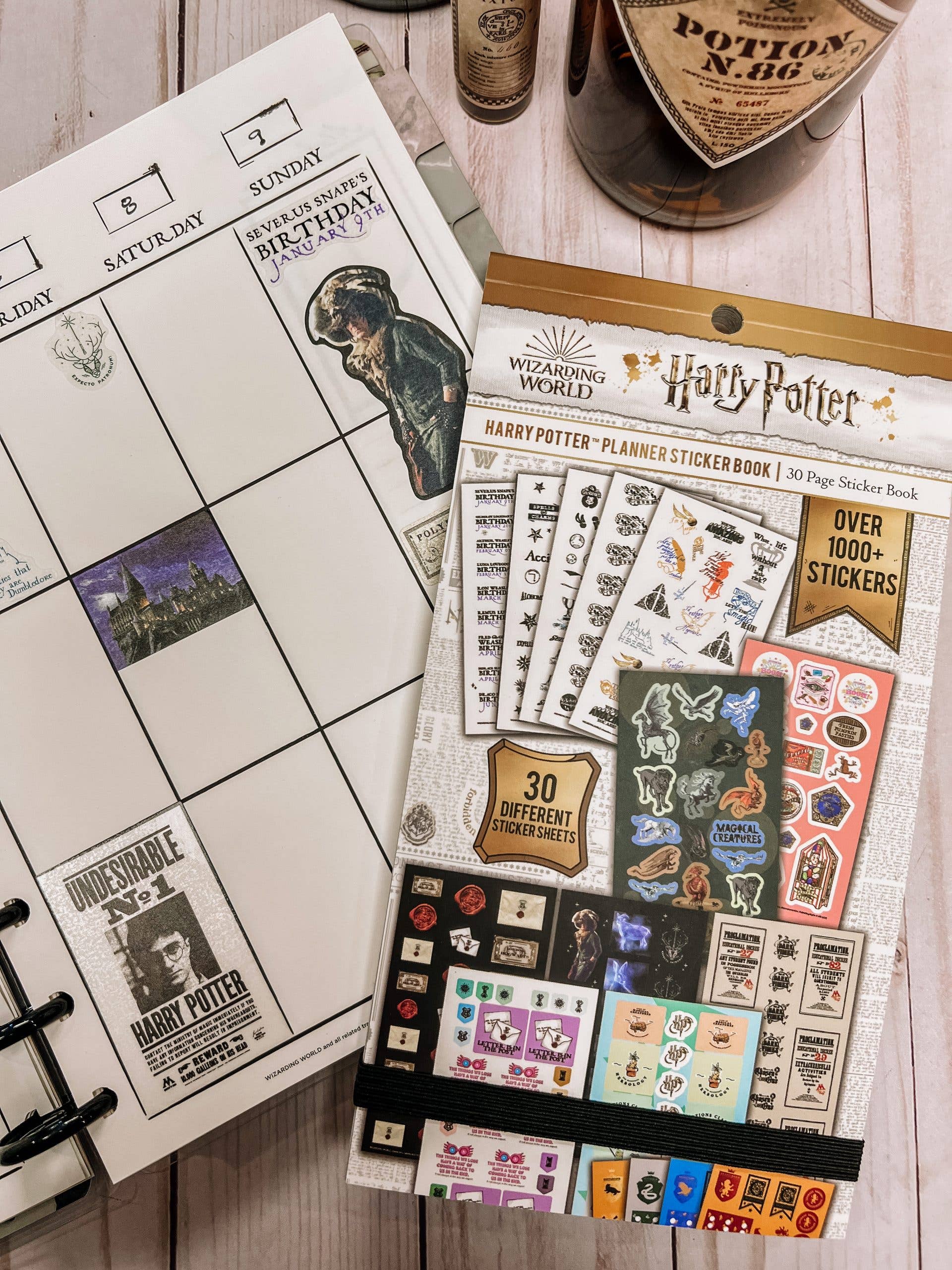 Conquest Journals - Wholesale Sticker - Harry Potter Planner Sticker Book3