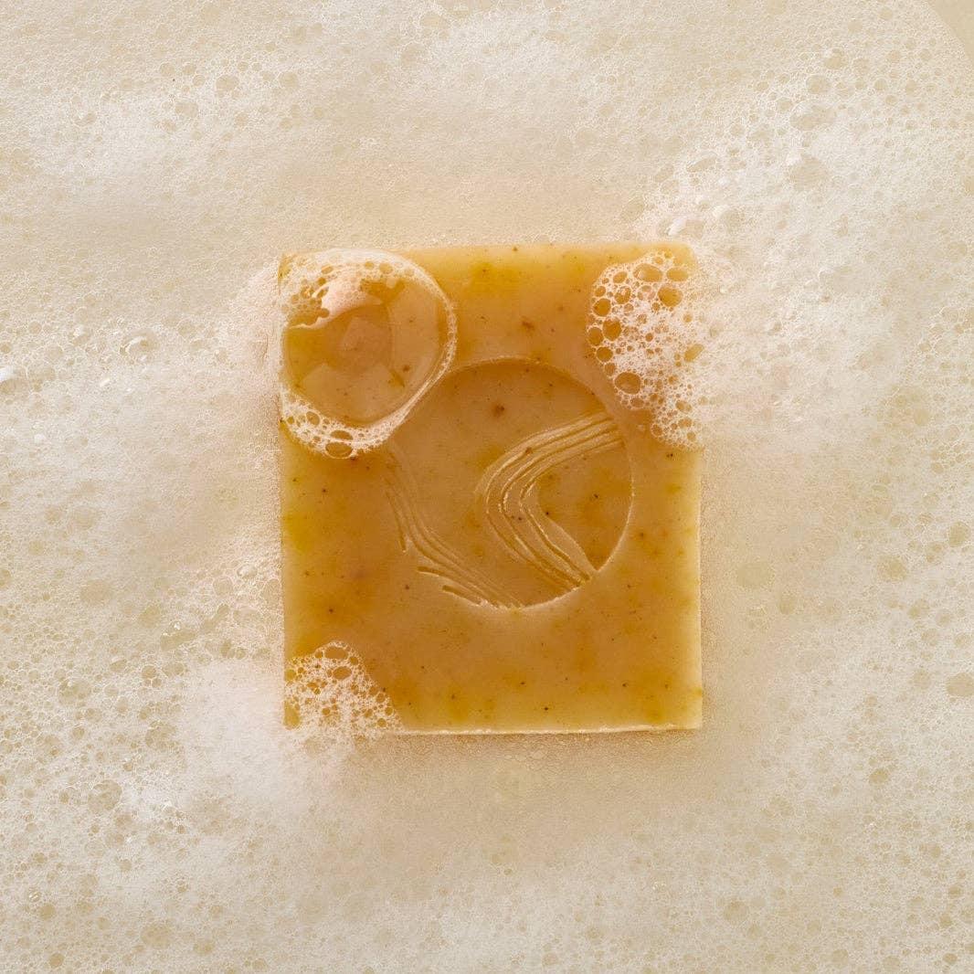 Apoterra - Wholesale Facial Cleanser - Pumpkin + Wild Carrot Complexion Soap2