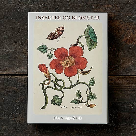 FLOWERS AND INSECTS - 8 Cards with envelopes for wholesale by Koustrupco