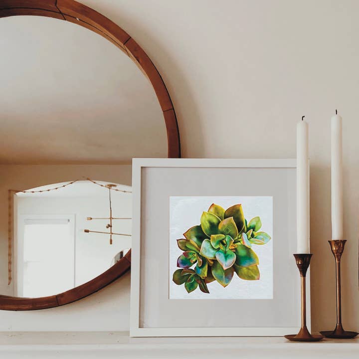8x8 Green Succulents Art Print, Square Art Print for wholesale by blonde birdie