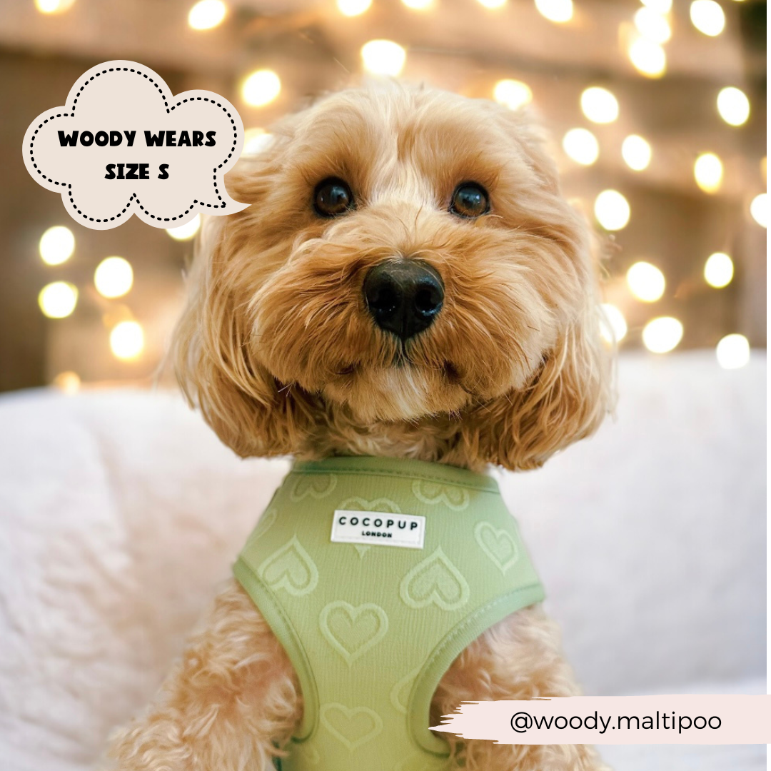 Cocopup London - Wholesale Pet Harness - Dog - Luxe Adjustable Neck Harness - Sage Heart5