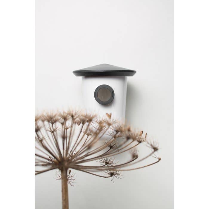 SingingFriend - Wholesale Bird House - Hello Breed plastic bird house0