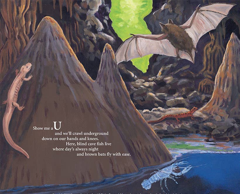 Sleeping Bear Press - Wholesale Preschool Book (3-5) - S is for Show Me: A Missouri Alphabet Picture Book4