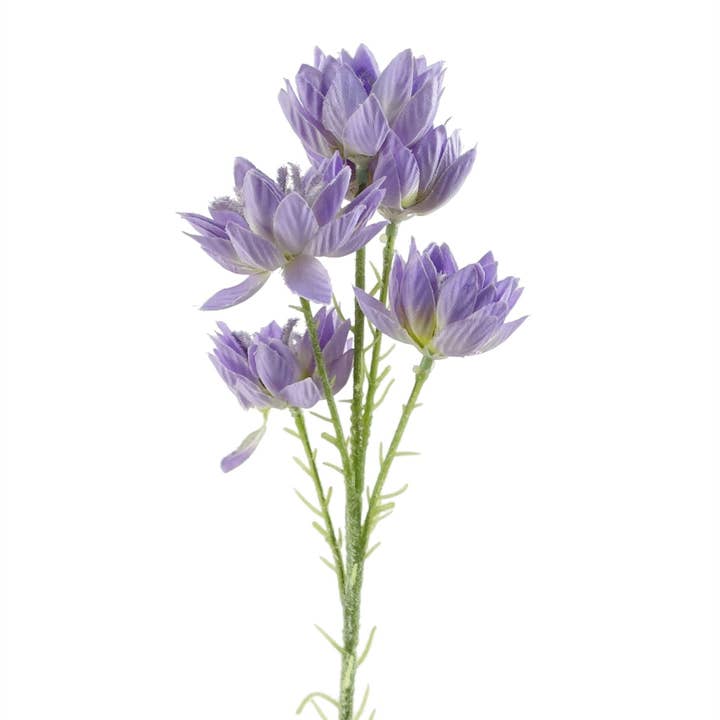 Leaf Design UK LTD - Wholesale Artificial Flowers - Pack 6x Artificial Flowers Purple Starflower Stem