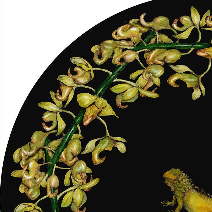 SENA CIFUENTES - Wholesale Wall Accent - ROUND ALIA 32