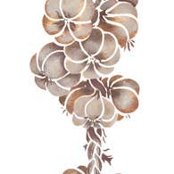 Garlic Rope Wall Stencil for wholesale by Designer Stencils