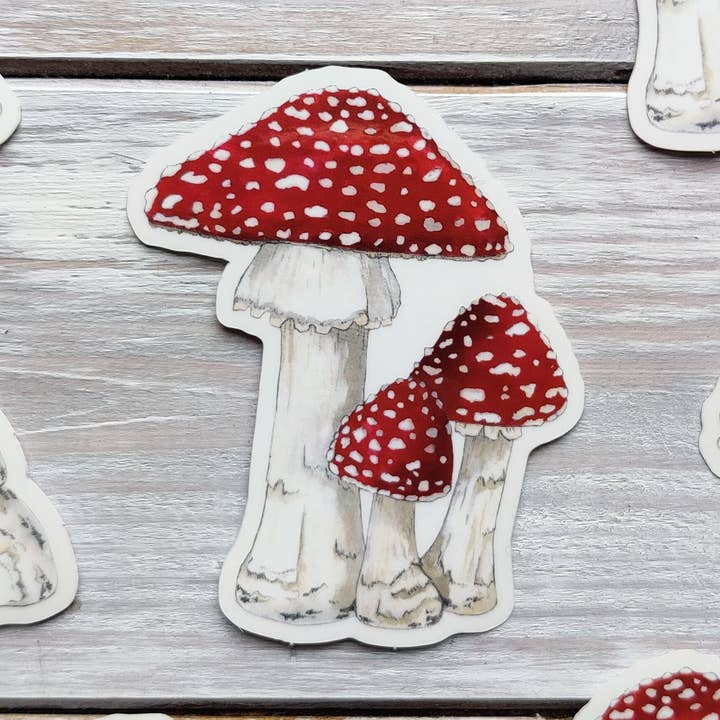 Toadstools Vinyl Sticker for wholesale by Crabapple Moon