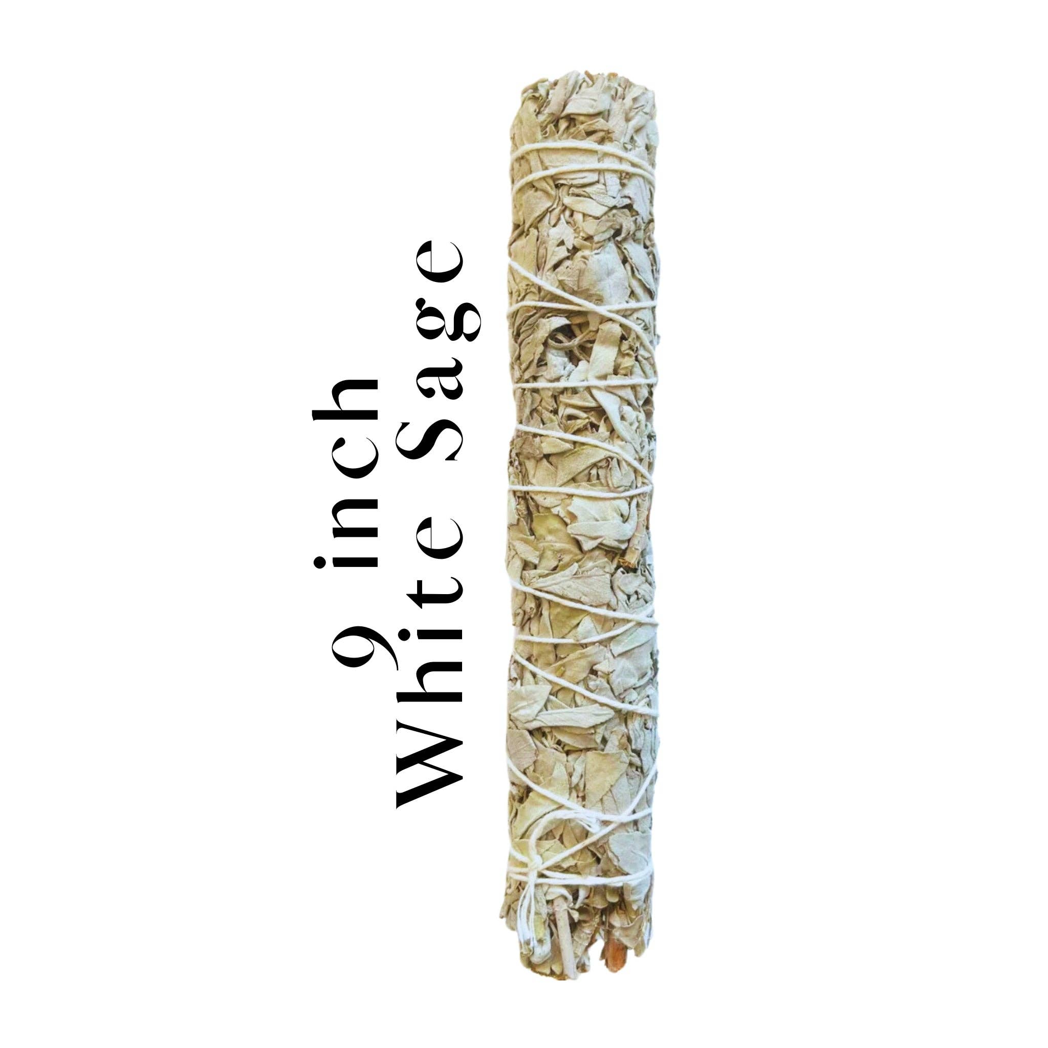 Third Eye Sage - Wholesale Sage bundle - Wholesale 9″ California White Sage Smudge Sticks – Bulk Purification & Cleansing Ritual Bundles0