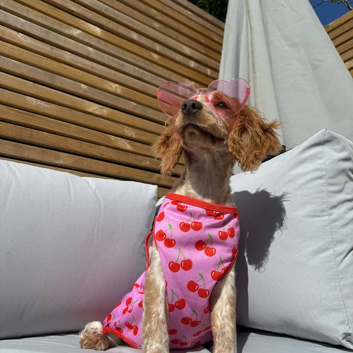 The Paw Print Boutique - Wholesale Pet Vest - Dog - The Cherry on Top Cooling Vest5