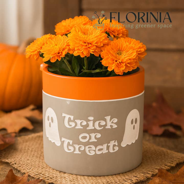 Florinia - Wholesale Plant Pot - “Trick or Treat” Concrete Pot with Ghost Motif – Planter or Votive10