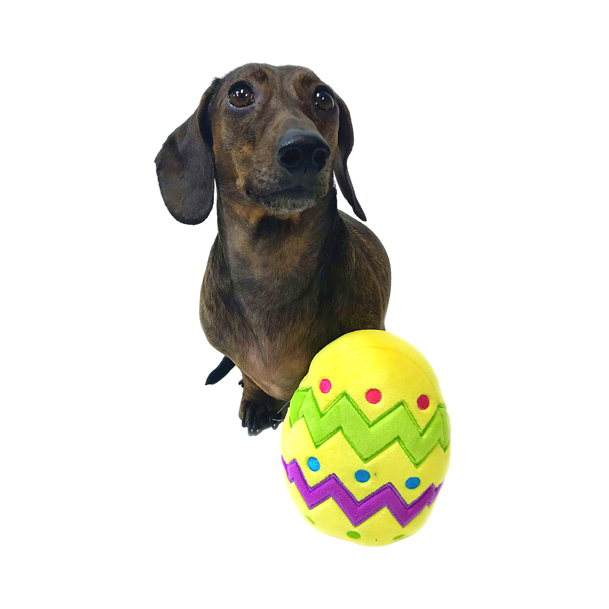 Midlee Designs – wholesale Pet plush toy – Dog – Midlee Plush Easter Egg Dog Toy with Squeaker3