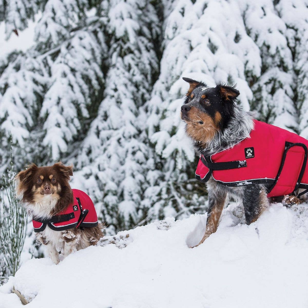 Shedrow K9 - Wholesale Pet Coat - Dog - Shedrow K9 Tundra Dog Coat - Red0