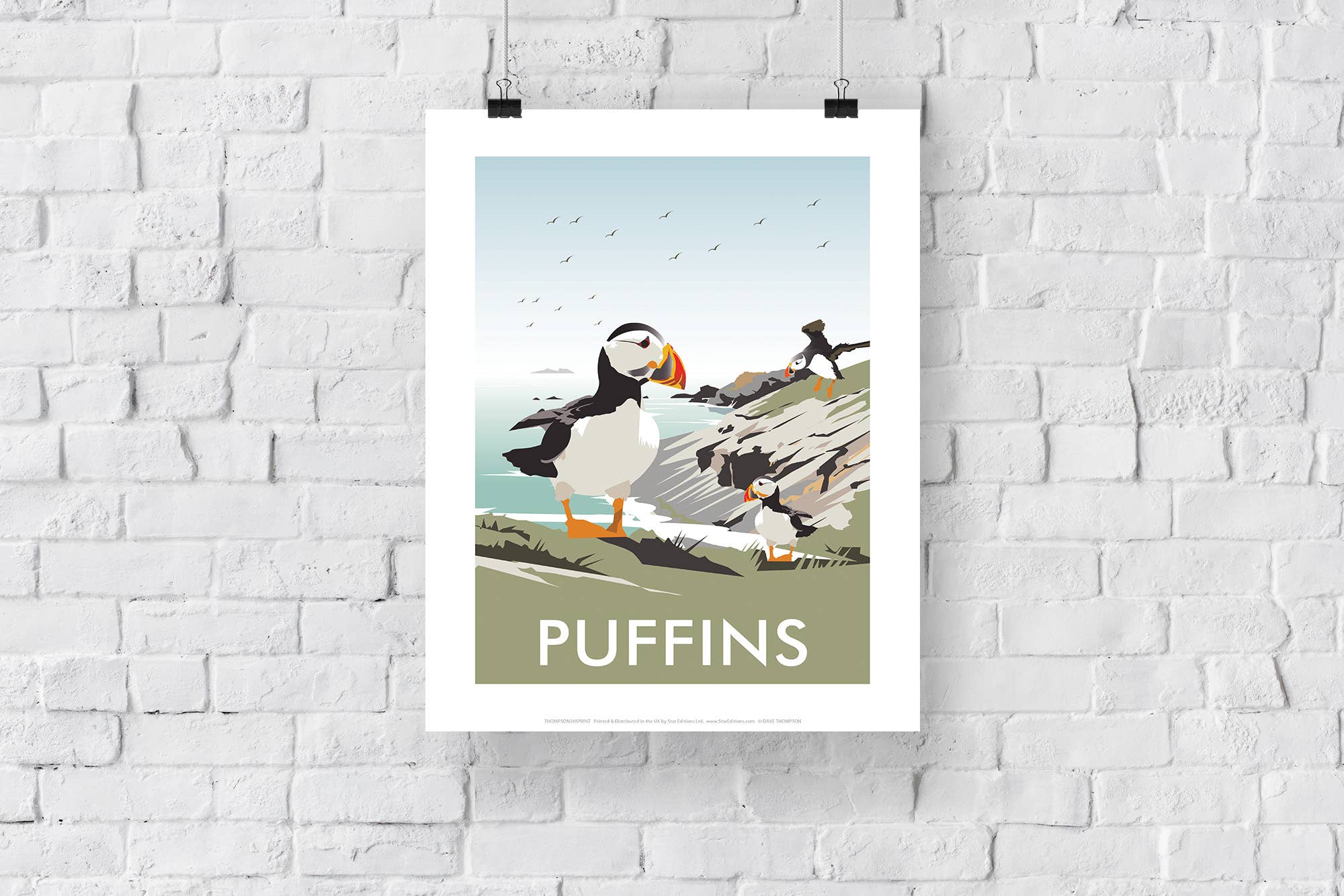 Star Editions - Vente Affiche d'art - Impression d'art premium sur macareux par l'artiste Dave Thompson - 28 x 35,5 cm2